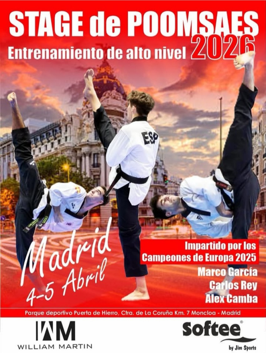 seminario de poomsae de alto nivel